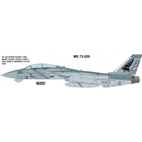 Decals Grumman F-14B Tomcat VF-143 'Pukin' Dogs 2001 