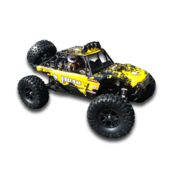MOAB Rock Racer 1/10 electric-RC Buggy